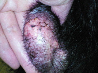 e0119664_094782.jpg