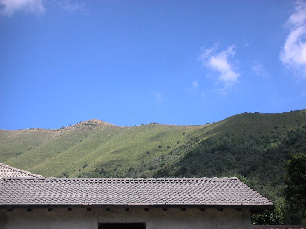 b0110467_20114575.jpg