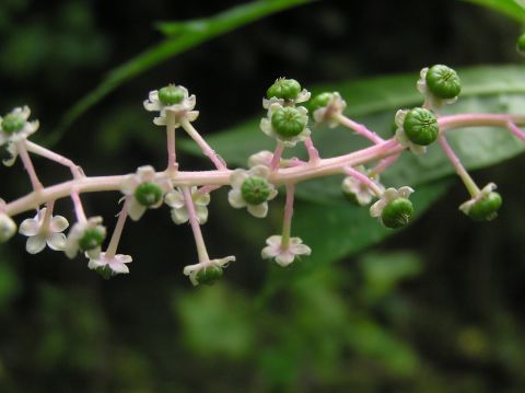 c0042869_2131311.jpg