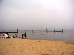 a0072371_13352269.jpg