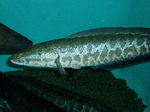 c0025471_17213796.jpg