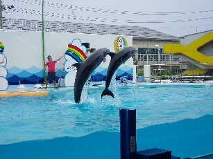 c0025471_17221572.jpg