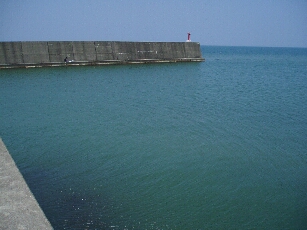 c0025471_1730942.jpg