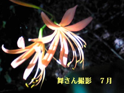 f0003174_14155174.jpg