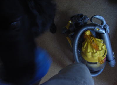 f0045283_1615850.jpg
