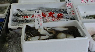 f0125585_1082263.jpg