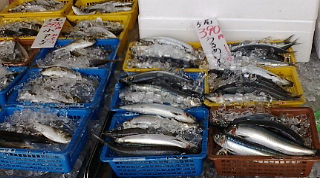 f0125585_1084362.jpg