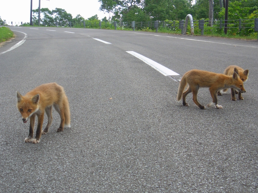 b0092694_23132727.jpg