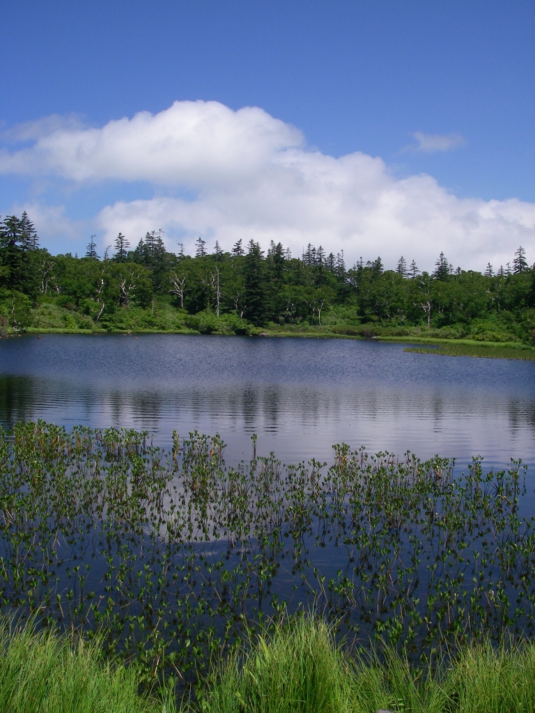 b0092694_2372942.jpg
