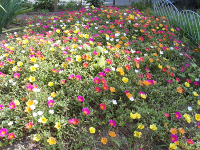 f0130894_21141042.jpg