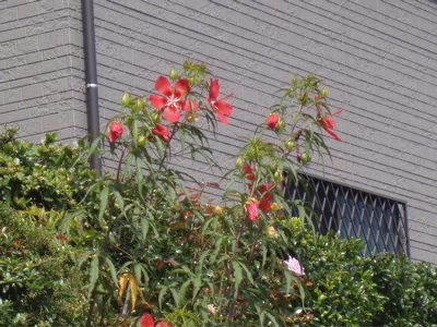 f0130894_21162251.jpg