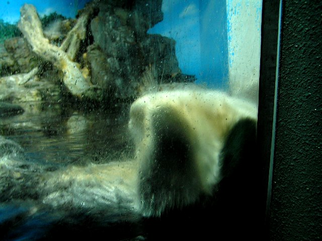 c0034595_11134672.jpg