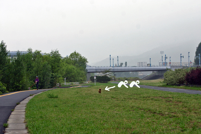 f0001895_18412597.jpg