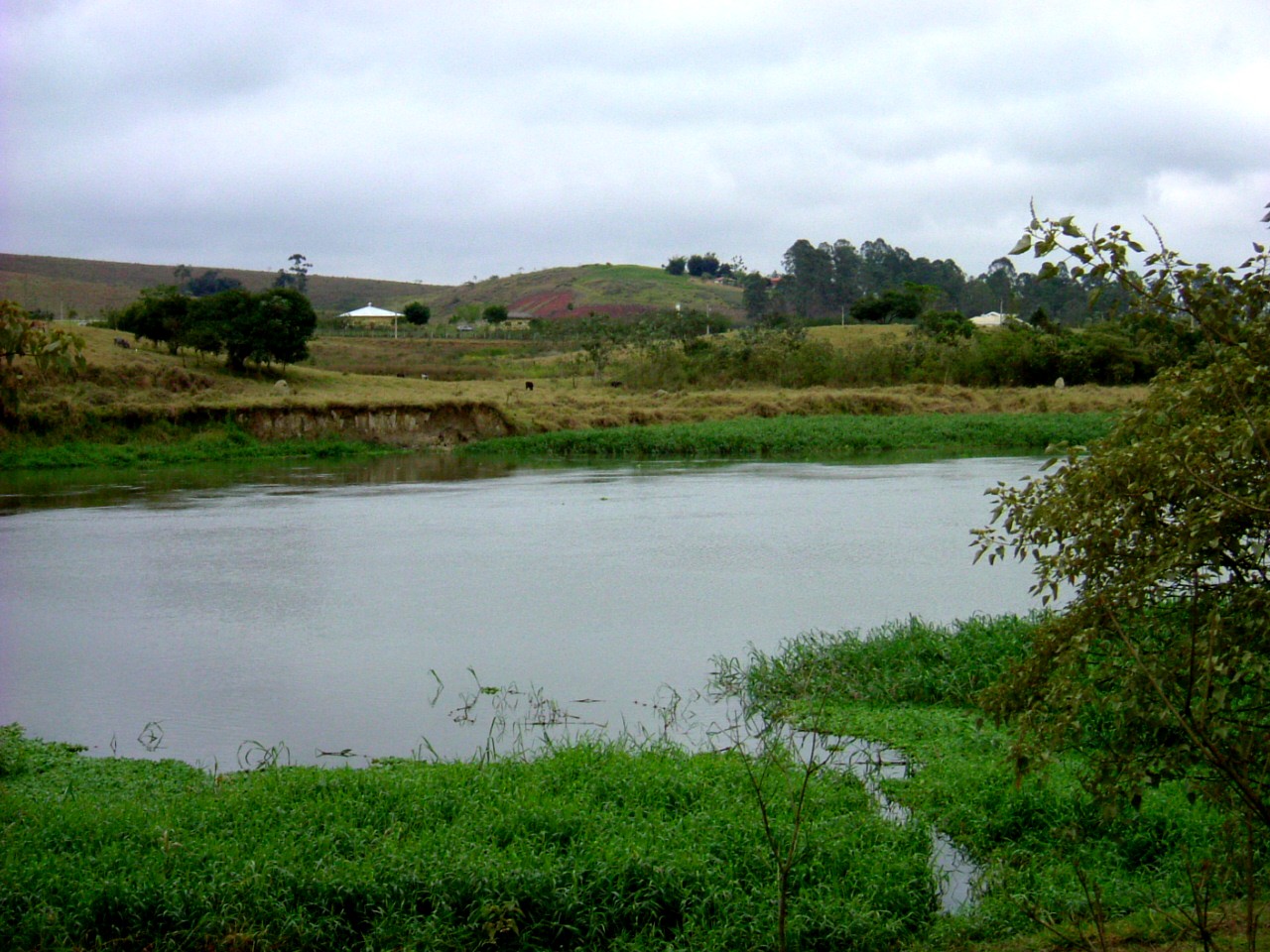 e0118096_847760.jpg