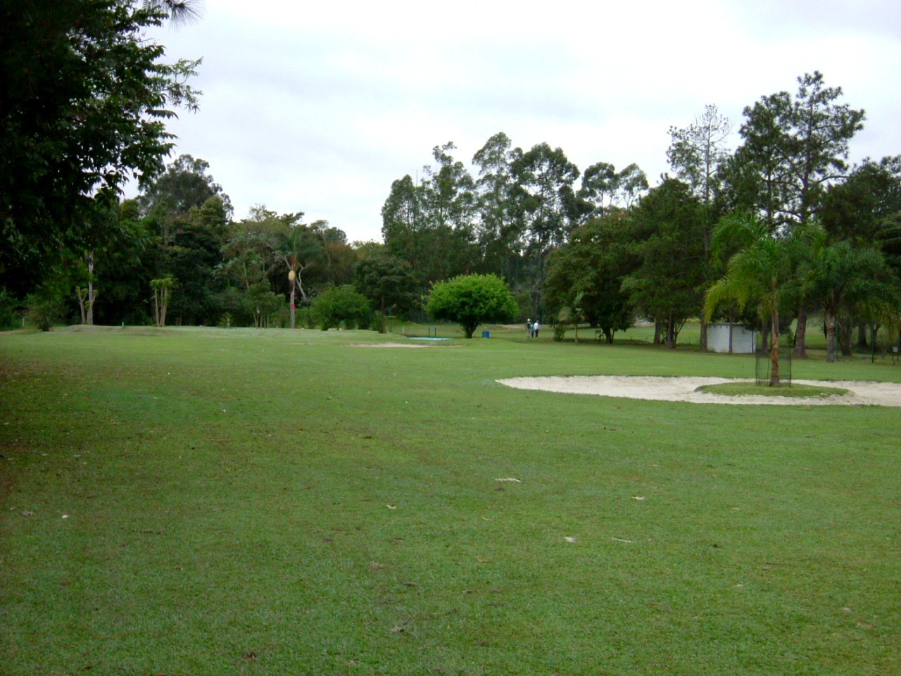 e0118096_850352.jpg
