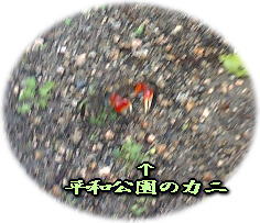 a0075802_20445286.jpg