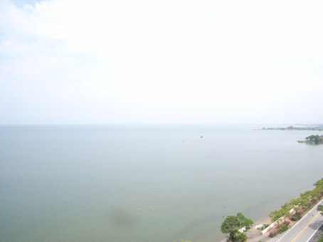 d0100502_1611535.jpg