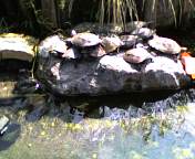 c0071003_23372099.jpg