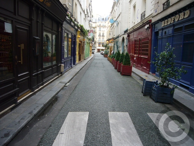 a0008105_8582075.jpg