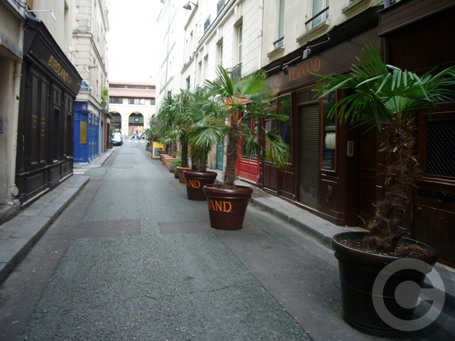 a0008105_859110.jpg