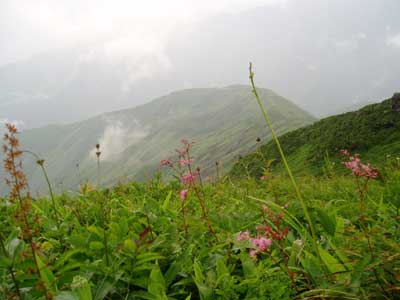 e0091909_18585053.jpg