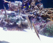 f0041113_1805436.jpg