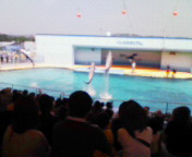 f0041113_1823336.jpg