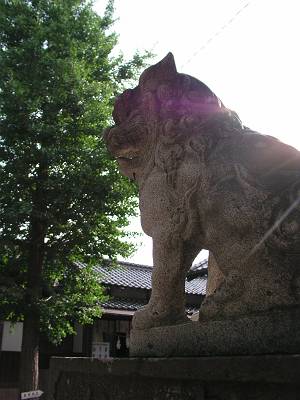 f0004019_16495623.jpg
