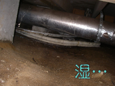 e0008833_12572948.jpg