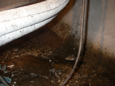 e0008833_1258207.jpg