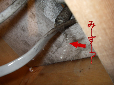 e0008833_12591111.jpg