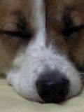 b0086939_18364322.jpg