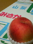 d0067640_23111699.jpg