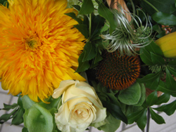e0110940_2292662.jpg