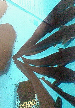b0097543_21221476.jpg