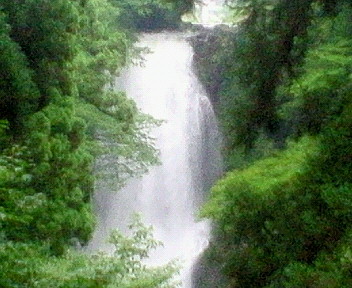 b0097543_21314347.jpg