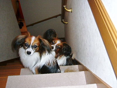 e0100046_21541811.jpg