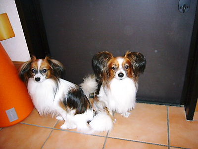 e0100046_2154313.jpg