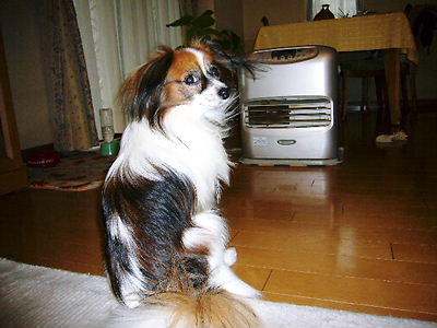 e0100046_21543342.jpg