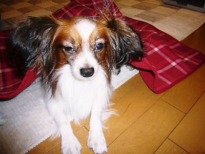 e0100046_21551887.jpg