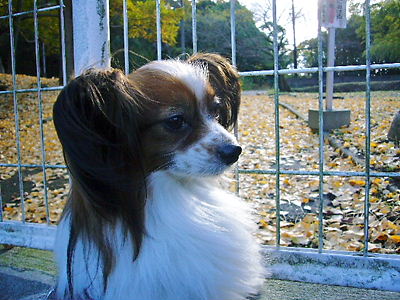 e0100046_22113611.jpg