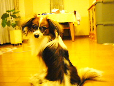 e0100046_22172122.jpg