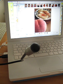 c0003752_214582.jpg