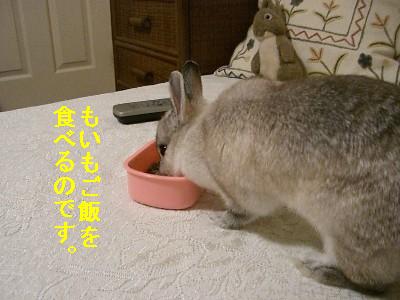f0104057_19582185.jpg
