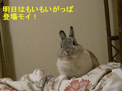 f0104057_2013279.jpg