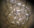 d0029958_1937332.jpg