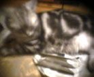 d0029958_1937458.jpg