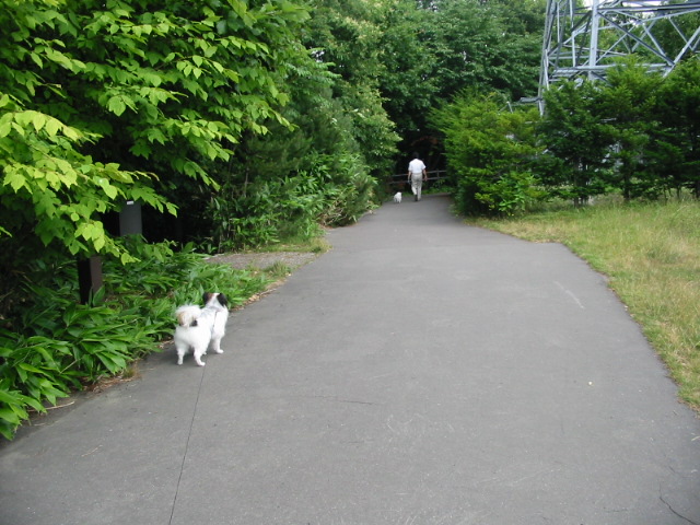 f0122259_2165737.jpg