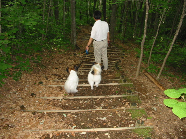 f0122259_2174150.jpg