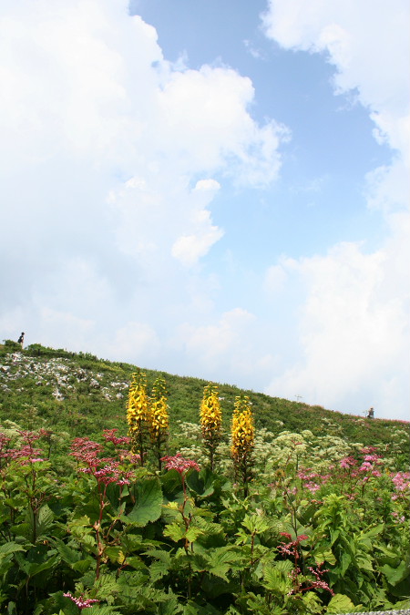 f0148762_20593225.jpg